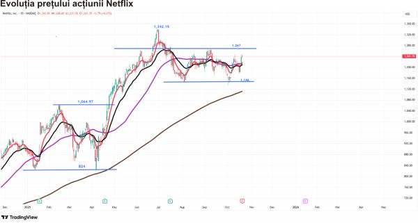 TradeVille: Netflix - lovit de taxe